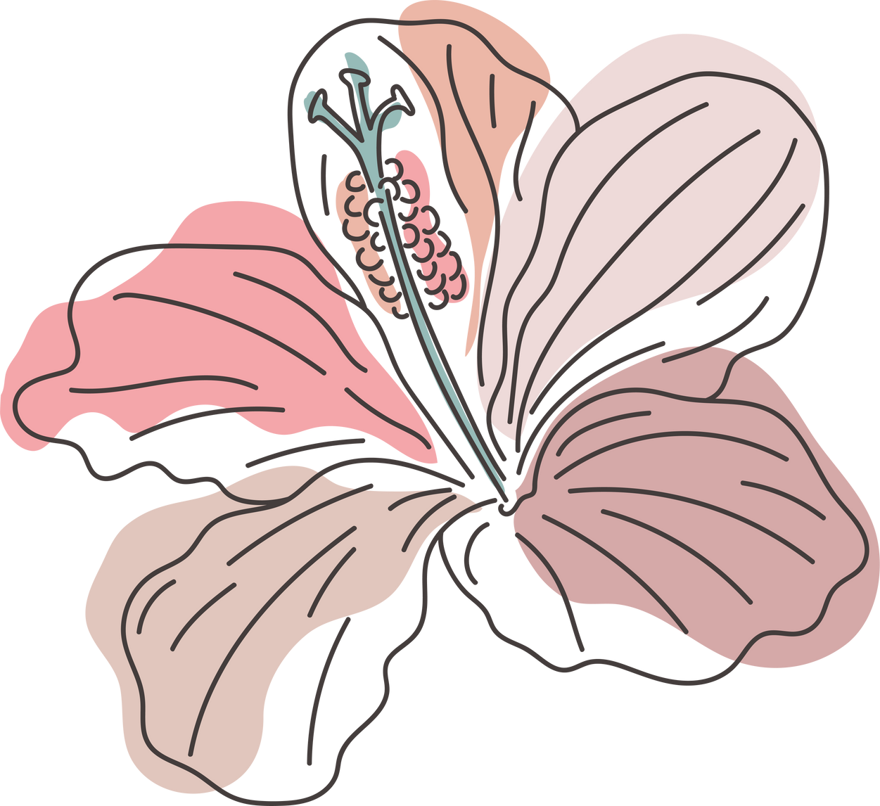 Hand Drawn Gumamela Flower